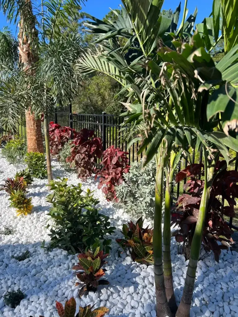 Tropical garden with palm trees and vibrant plants
