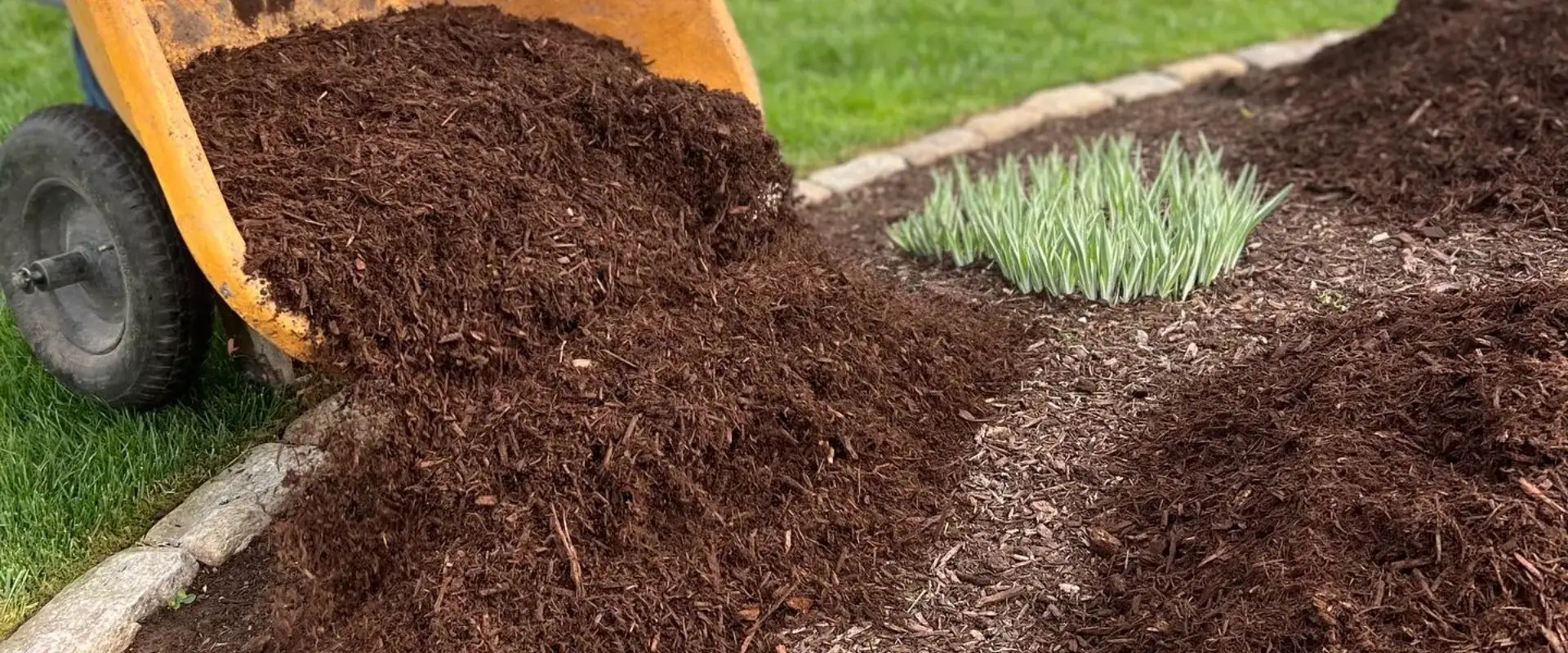 Outdoor Gardening