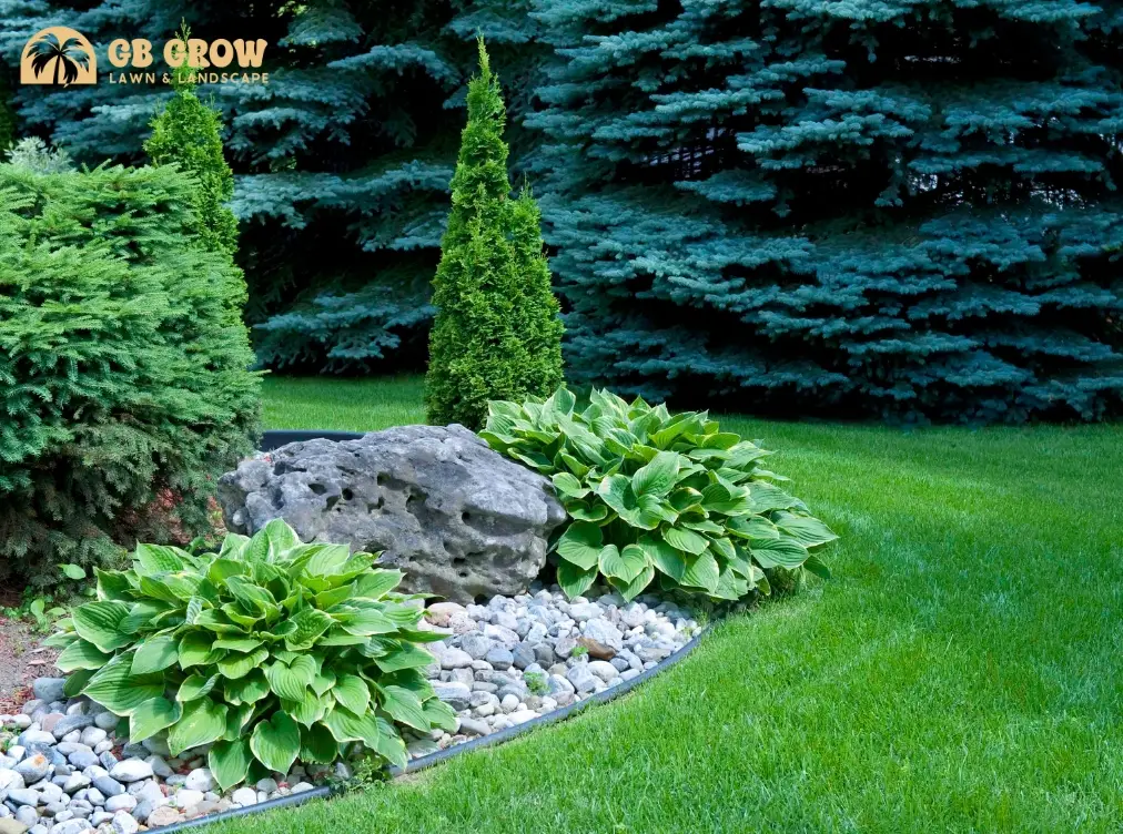 Landscape Design