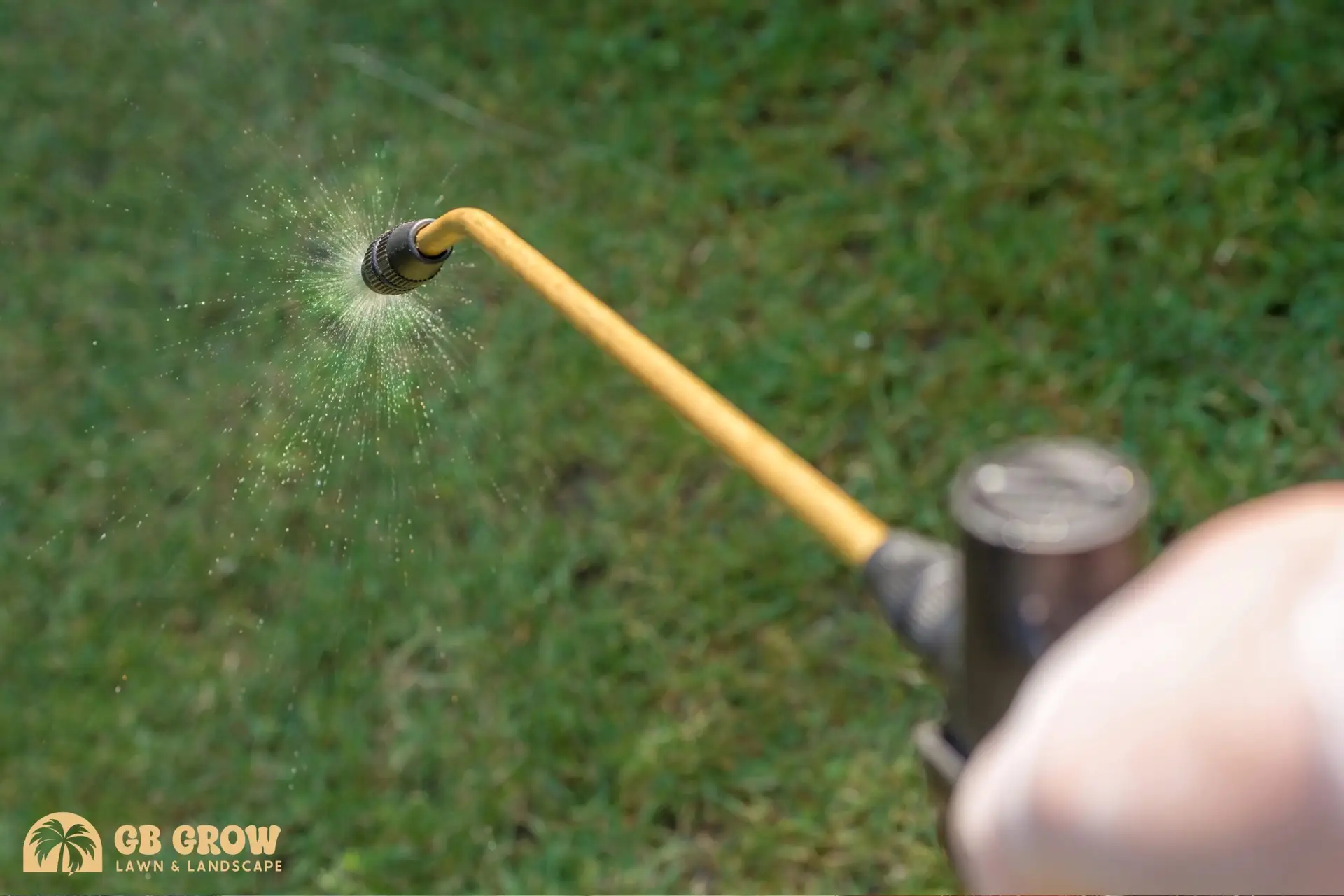 Lawn Pest Control