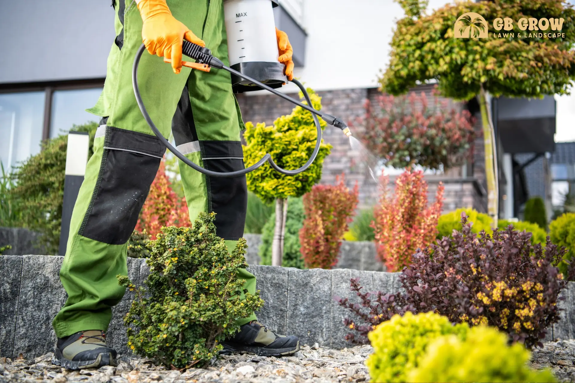 lawn pest control