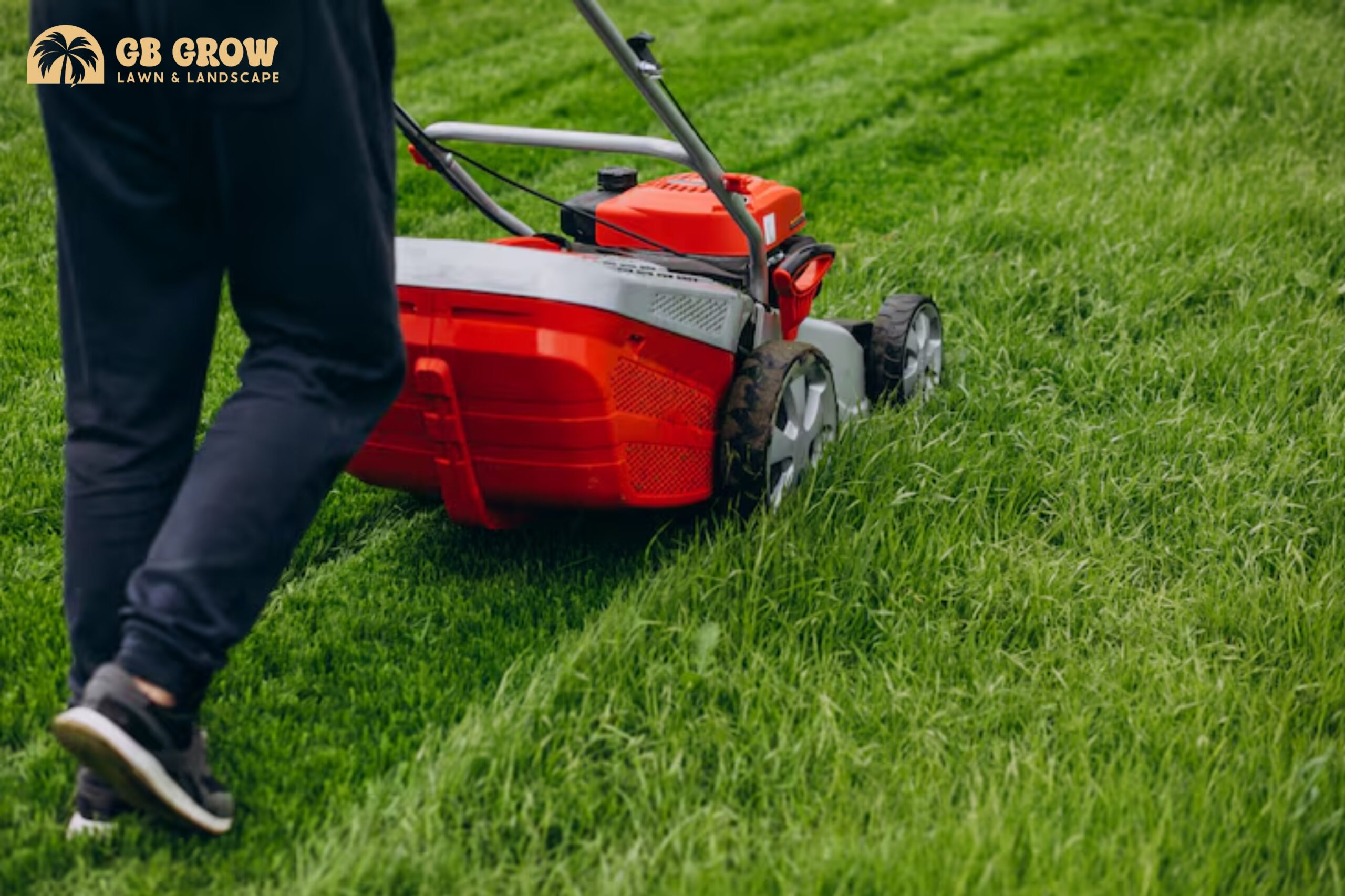 lawn maintenance