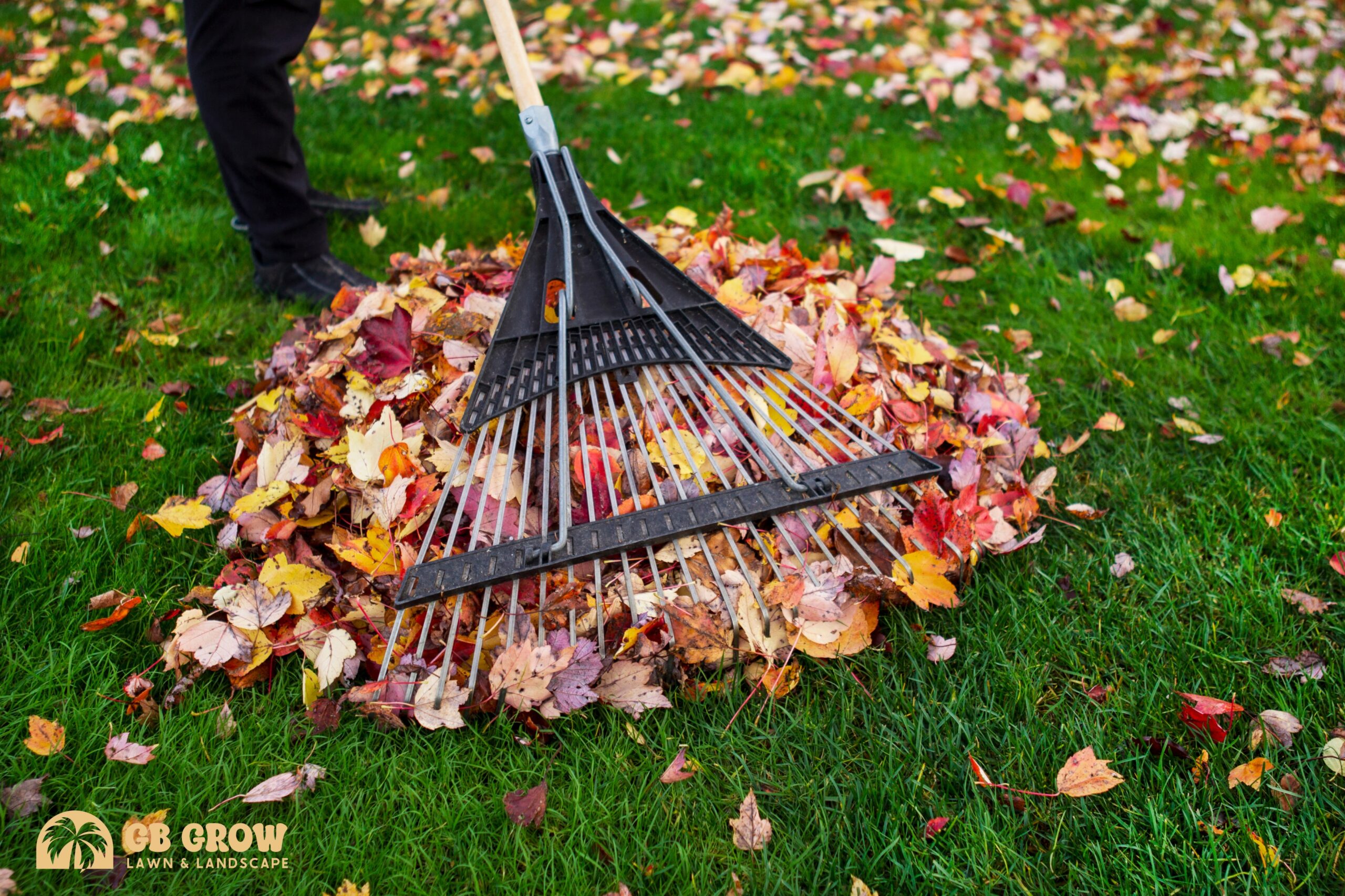 Yard clean ups