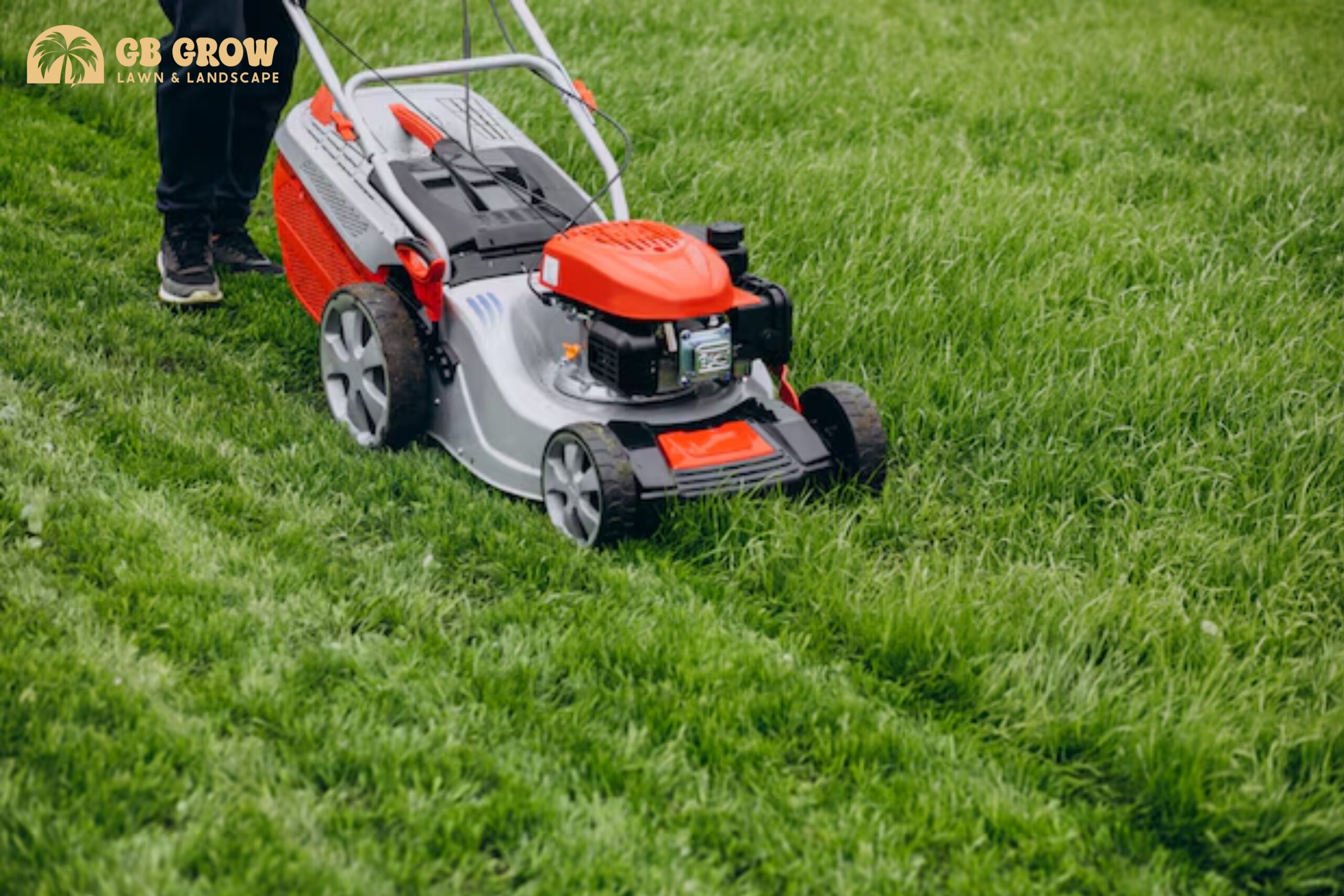lawn maintenance