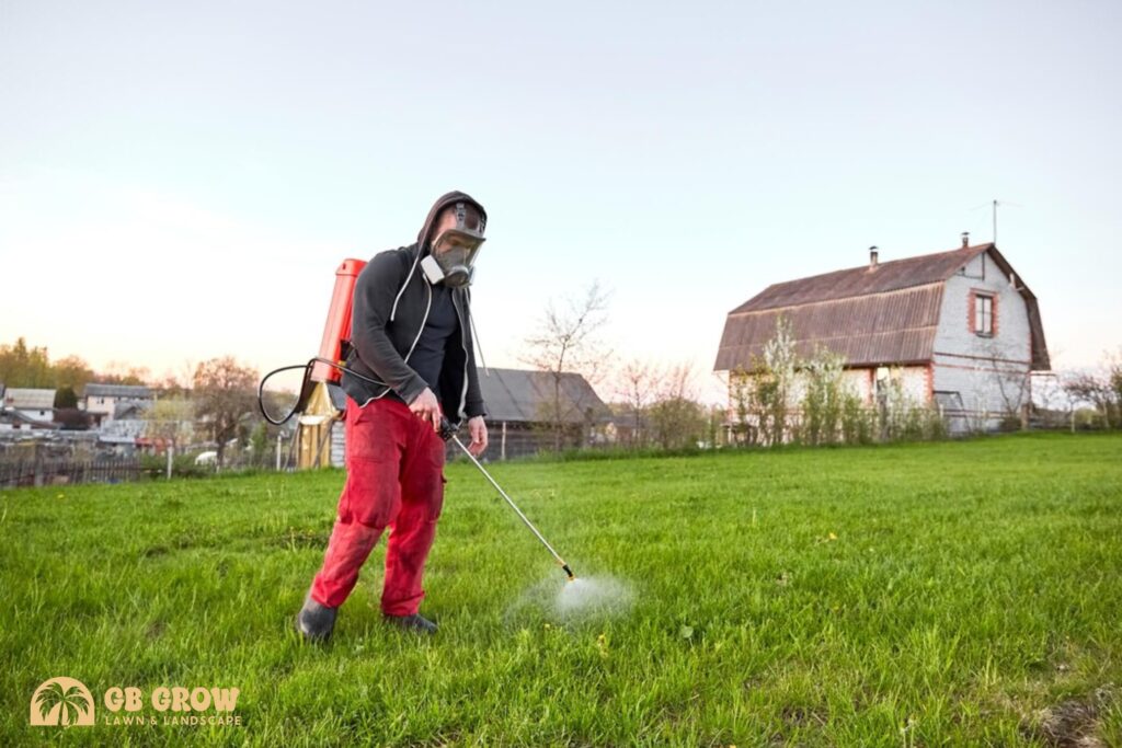 lawn pest control