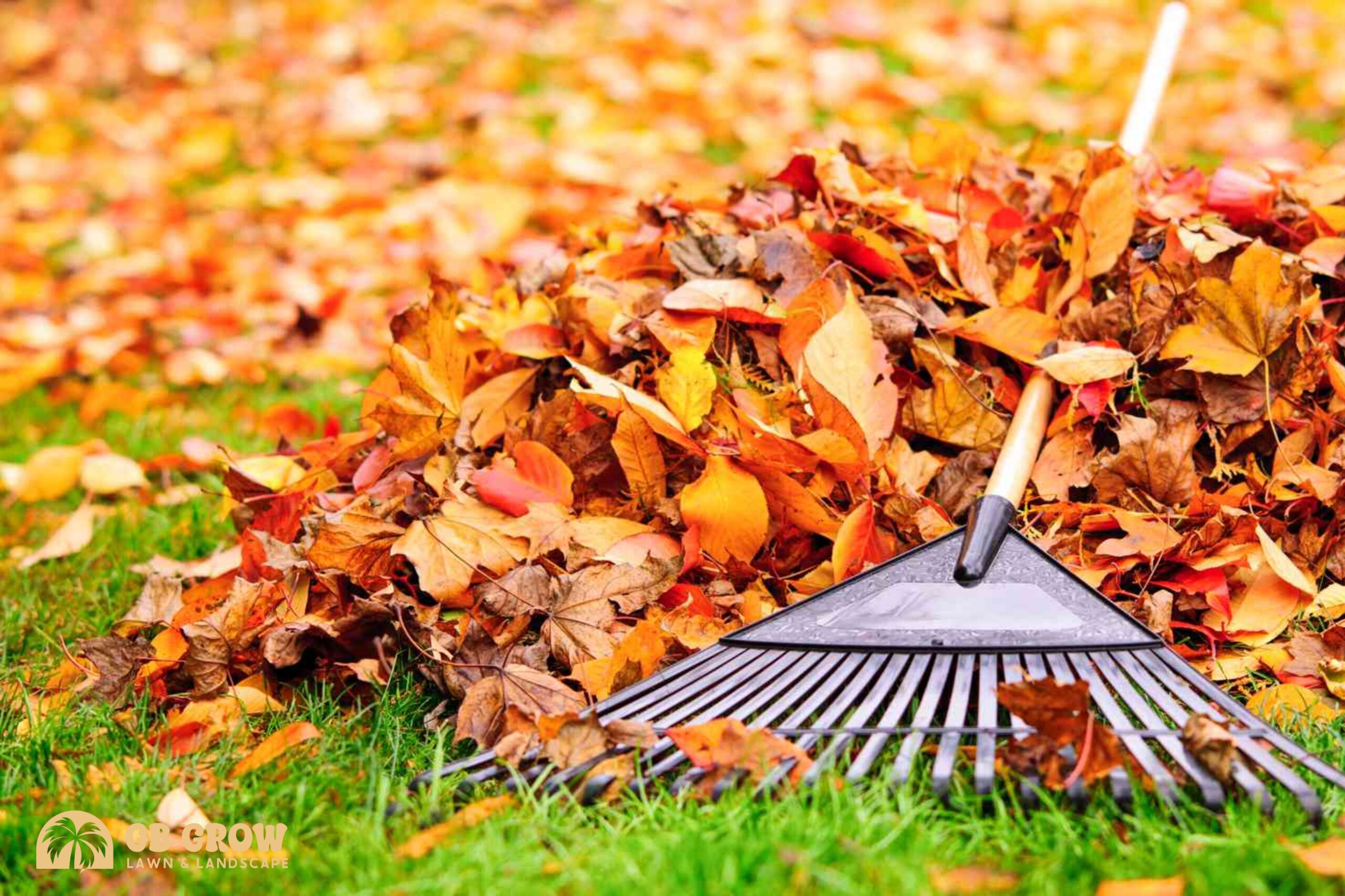 Yard clean ups