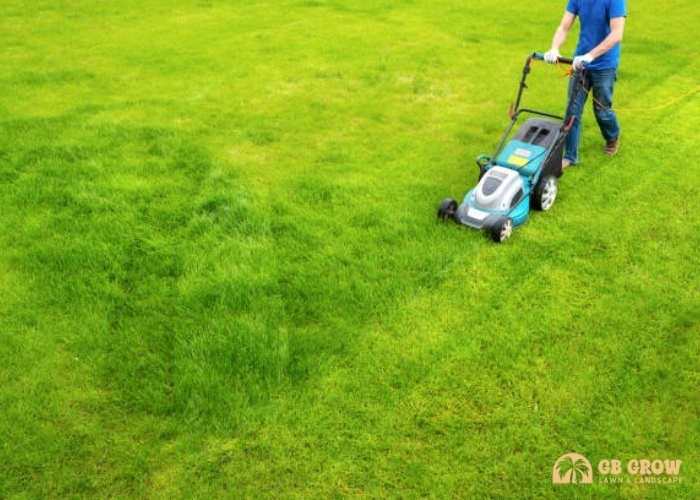 lawn maintenance