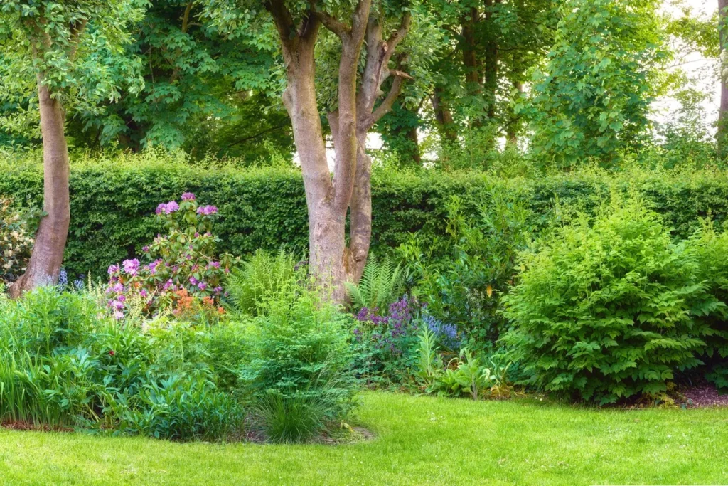 Lush garden with vibrant flowers and green lawn, highlighting the benefits of landscaping for homes.