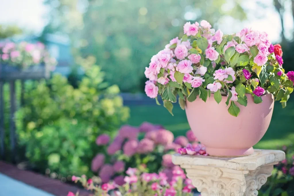 Blooming pink flowers in a clay pot surrounded by greenery and sunlight, enhancing outdoor spaces.