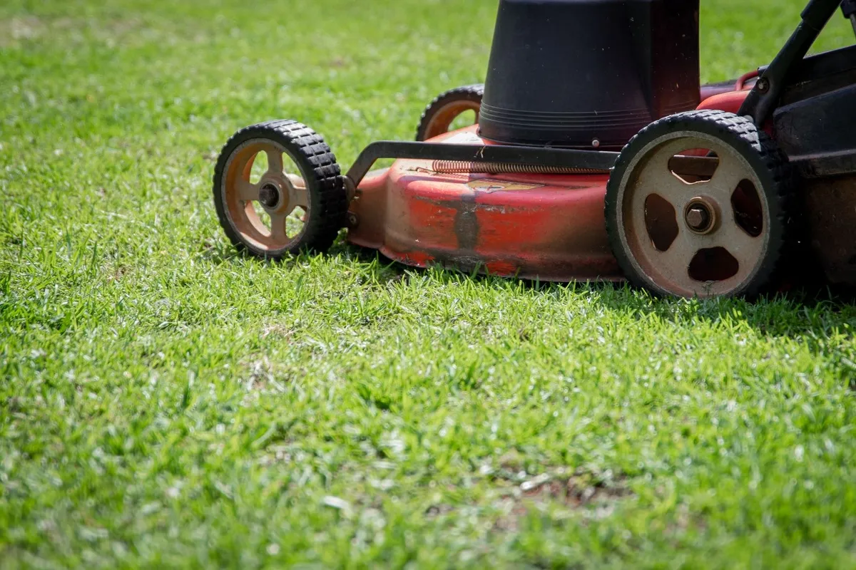 A lawn mower cutting fresh green grass on a sunny day, highlighting the importance of quality landscaping.