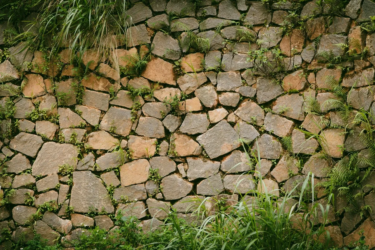 Close-up of a rustic stone wall covered in vibrant green plants, highlighting landscaping possibilities.